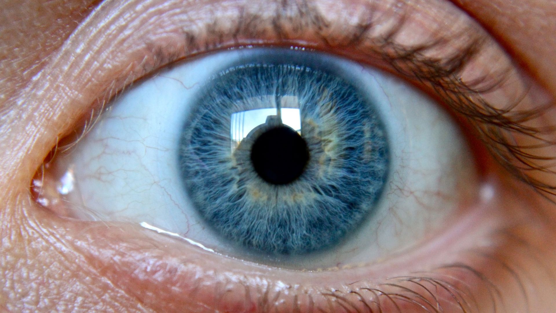 Plano detalle de un ojo de color azul.